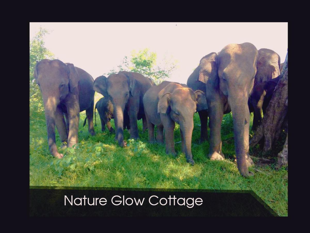Nature Glow Lodge